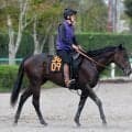 【ＰＯＧ】先週除外のダノンアイコニックは２４日の東京・ダート１４００メートルでデビュー　田中博調教師「現状でもいい勝負」