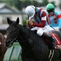 【競馬予想】菊花賞で３冠がかかるロブチェンに不安はある？　血統から快挙阻止の対抗馬をピックアップ