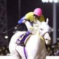 白毛馬がノーザンホースパーク入り