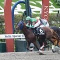 【なでしこ賞結果】スカイメテオが2歳JRAレコードで2連勝