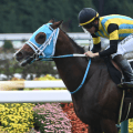 【JRA・WIN5】本日のWIN5は的中451票、配当63万6240円