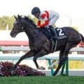 【菊花賞予想】近2走は圧勝も過信は禁物!? 人気馬が該当した消去法データとは