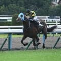 【JRA・WIN5】本日のWIN5は的中451票、配当63万6240円