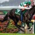 【アルテミスS結果】プルヴィナルが捲りからの押し切りで無傷2連勝