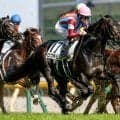 【AI予想・菊花賞】戦歴や血統から長距離でも不安なし！ 史上9頭目の偉業達成へ人工知能も太鼓判
