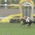 「テンよし中よし終いよし」武豊騎乗のキズナ産駒が“ノーステッキ”完勝デビュー…ファン軒並み高評価「文句なし」