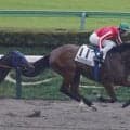 【新馬/東京6R】外国産馬アメリカンフレンズが逃げ切りデビューV！ロケットスタートから1馬身差完勝