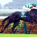 【アルテミスＳ】１番人気のプルヴィナルが無傷２連勝で重賞初Ｖ　「トップレベルにいけそうですね」ルメール騎手も高評価