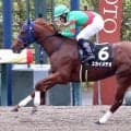 スカイメテオが京都９Ｒ・なでしこ賞で２歳ＪＲＡレコードＶ　約１０年ぶりに０秒１更新