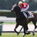 【競馬予想】菊花賞、現場で高まる「打倒ロブチェン」の声　未知の3000ｍで激走しそうな大穴２頭