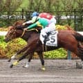 「朝から…」「激アツ」ナリタブライアン対マヤノトップガンの名シーンを彷彿させる未勝利戦にファン震える／京都２Ｒ