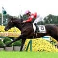 【京都５Ｒ・２歳新馬】ロブチェンの父も勝った「伝説の新馬」はコントレイル産駒ダノンカンタービレが制す