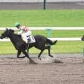 【京都４Ｒ・２歳新馬】１番人気に応えたパッションシーザー　角田大和騎手「女の子にすごく反応して…」