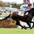 【東京５Ｒ】「想像以上」エフフォーリア産駒ノヴァルクスが別次元の末脚で初陣Ｖ　父の主戦・横山武史騎手も驚く
