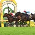 【菊花賞】「空気読まなくて申し訳ない…」武豊騎手が５７歳７か月で最年長Ｇ１勝利＆菊最多６勝目　ゴーイントゥスカイでロブチェン３冠打ち砕いた！