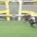 【菊花賞】ゴーイントゥスカイが接戦制し勝利！ 武豊は菊花賞最多6勝目…ロブチェン史上9頭目の牡馬クラシック三冠達成ならず