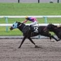 【京都１０Ｒ・カノープスＳ】１２番人気のメイショウズイウンが豪快に差し切る　幸英明騎手「能力がある」