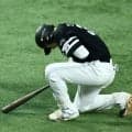 【ソフトバンク】山本祐大「大丈夫です」前日24日は死球で途中交代　一夜明け、問題なしを強調