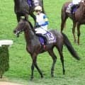 【菊花賞】ベストターンドアウト賞は大逃げでわかせたキンググローリーの大西助手が受賞　「私一人の力だけではなく…」