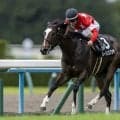 【壬生特別】ルージュスプリヤが3馬身半差の逃げ切りV！破竹の3連勝で準オープン入り