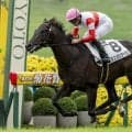 【新馬/京都5R】3億円ホース・ダノンカンタービレがデビューV！クロノジェネシスの仔ら良血馬を撃破