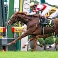 「来年のクラシックは…」「強すぎ問題」勢い止まらない新種牡馬にＳＮＳ興奮　萩Ｓイッペイ＆新馬ノヴァルクス勝利