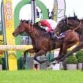 【小島太元調教師の競馬ジャーナル】ゴーイントゥスカイ鼻差Ｖ呼んだ武豊騎手の拳