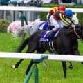 【天皇賞・秋】春秋制覇がかかるクロワデュノールなど17頭
