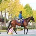 【天皇賞・秋・浅子の特注馬】レガレイラは右回り専用とは決めつけられない　左回り未勝利も見限れない理由