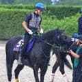 【天皇賞・秋・木戸の特注馬】毎日王冠覇者セイウンハーデスは舞台適性が光る　橋口調教師「東京が断トツでいい」