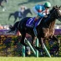 1位はイクイノックスの世界レコード 天皇賞(秋)の勝ち時計ランキング