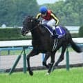 【天皇賞(秋)想定騎手】クロワデュノールはC.デムーロ騎手、マスカレードボールはC.ルメール騎手