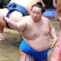 旭海雄が新入幕「１年で上がれて良かったです」　大島部屋初の幕内力士に師匠も「よく頑張った」…九州場所番付発表