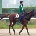 【天皇賞・秋】札幌記念レコードＶから挑むシェイクユアハート　陣営「馬のバランスが良くなった」