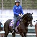 【天皇賞・秋】クロワデュノール史上６頭目の春秋連覇へ　キタサンブラックと父子達成なら史上初