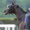 【天皇賞・秋】クロワデュノールVSマスカレードボール　史上６頭目か、史上４頭目か　最強４歳世代の柱２頭が快挙を懸けて激突