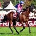 【注目馬動向】メイショウタバルはジャパンＣ出走へ　近日中に帰厩　武豊騎手と挑んだ凱旋門賞以来となる秋初戦