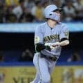 【阪神】高寺望夢が逆方向弾　来季は遊撃争いに本格参戦　25年ドラ１立石正広も特大ソロ