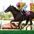 古川吉洋騎手が12年ぶりの天皇賞(秋)参戦 シェイクユアハートで29年ぶりのGI制覇なるか
