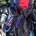 【天皇賞・秋】唯一の３歳馬リアライズシリウスが巻き返しへ虎視たんたん　手塚久調教師「中身が全然違う」