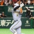 【阪神】三塁＆遊撃スタメン候補がアベック弾　立石正広サヨナラ弾含む２発、高寺望夢は逆方向