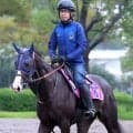 【今週のトク注新馬】イクイノックス全妹が兄と同じルメール騎手で３１日デビュー「どんどん良くなる」
