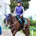 【注目馬動向】プラタナス賞勝ちのウィンターブリーズはカトレアＳ→全日本２歳優駿へ　田中博調教師「オーナーにＧ１（級）を…」