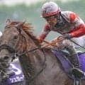 【天皇賞(秋)】GIで4戦連続の銅メダル ダノンデサイルが待望のGI・3勝目なるか
