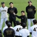 阪神・平田勝男ヘッド　訓示でロケットスタート「日本シリーズは見ていちゃダメ。出るんだよ」　秋季練習に合流