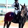 【阪神アーバン競馬】新しい誘導馬ナリタザクラが１１月５日にデビュー「皆さまの温かいご声援をお待ちしております」