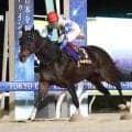 【大井競馬マイルＧＰ】ソニックスターが重賞初制覇