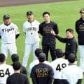 阪神・平田新ヘッド“勝男節”全開「日本Ｓは見ていちゃダメ。出るんだよ！」秋季練習合流即うま味たっぷり熱血訓示