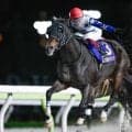 【大井・マイルグランプリ結果】ソニックスターが3馬身半差完勝で重賞初制覇