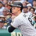吉田正尚超えの譲渡金を生むか　米識者が予測した“虎の大砲”が持つ「5年総額284億超え」の価値　大型契約の実現なら阪神はいくらを手にするのか？
